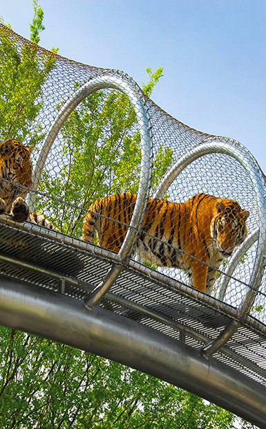 狮虎笼舍围网动物园网动物···